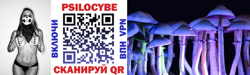 Псилоцибиновые грибы прущие грибы  Хвалынск 